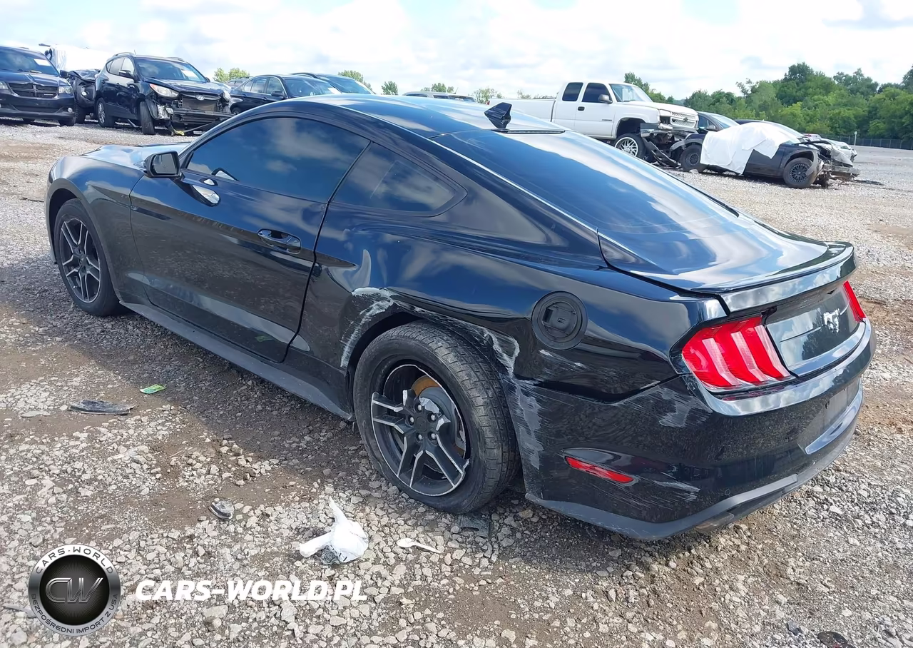 2020 Ford Mustang Ecoboost Fastback VIN:1FA6P8TH1L5182455 - 3