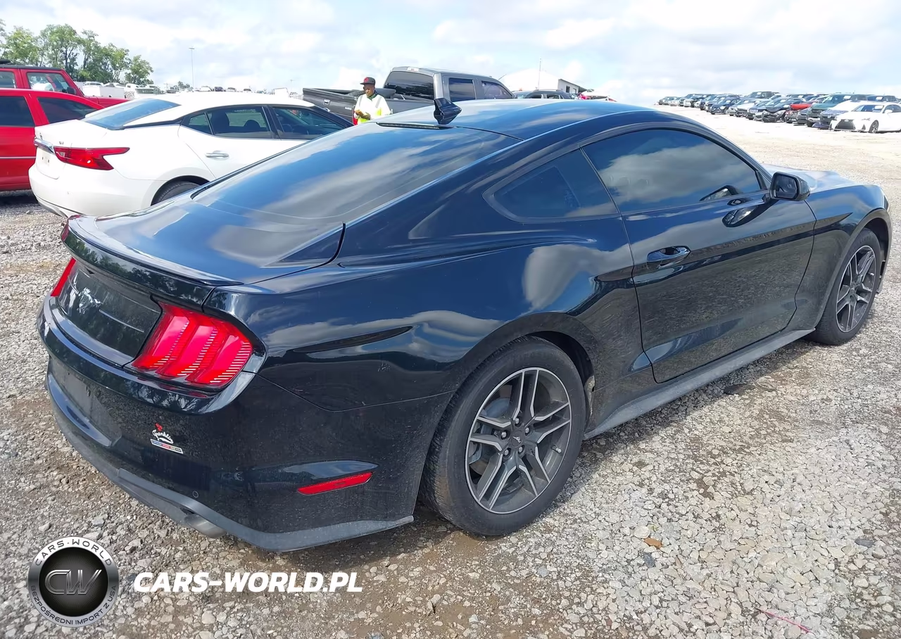 2020 Ford Mustang Ecoboost Fastback VIN:1FA6P8TH1L5182455 - 4