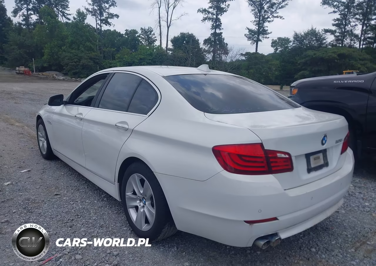2013 BMW 528I VIN:WBAXG5C54DDY36629 - 3