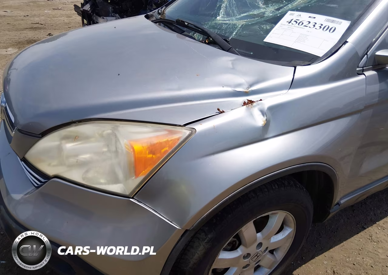 2007 Honda Cr-V Ex-L VIN:JHLRE48777C040718 - 19