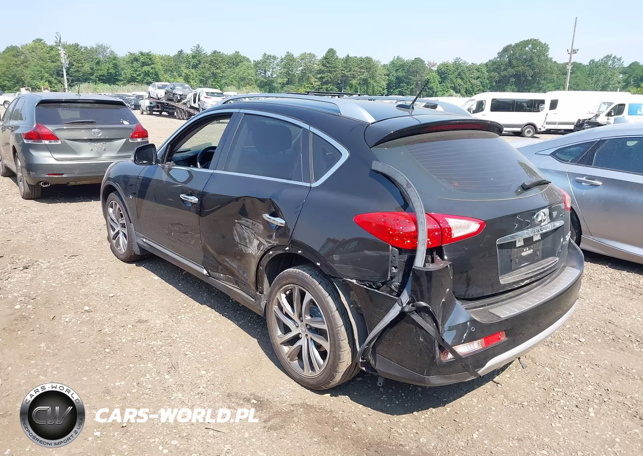2017 Infiniti Qx50 VIN:JN1BJ0RR0HM412756 - 3