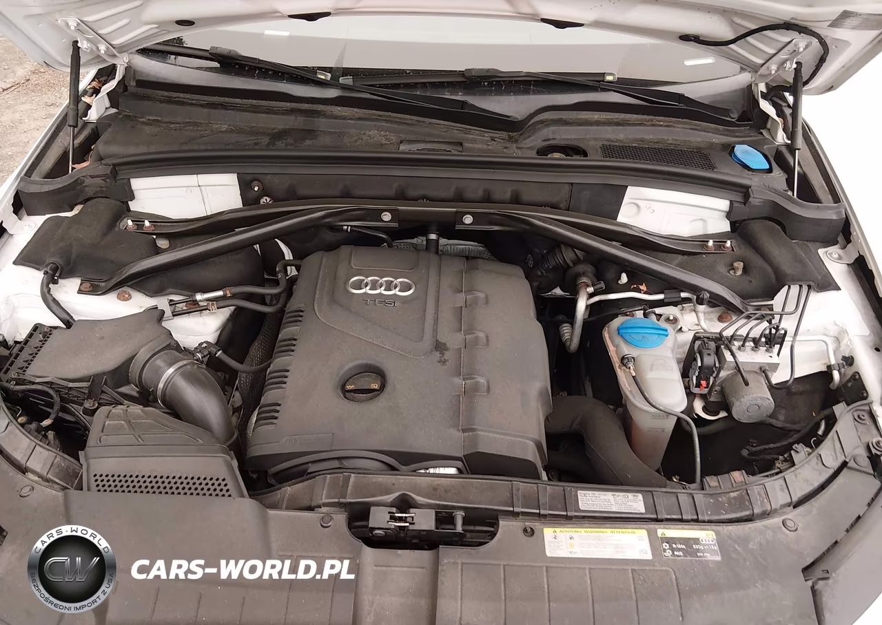 2013 Audi Q5 2.0T Premium VIN:WA1LFAFP9DA064120 - 10