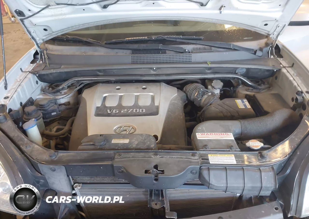 2006 Hyundai Tucson Gls-Limited VIN:KM8JN72D36U338035 - 10