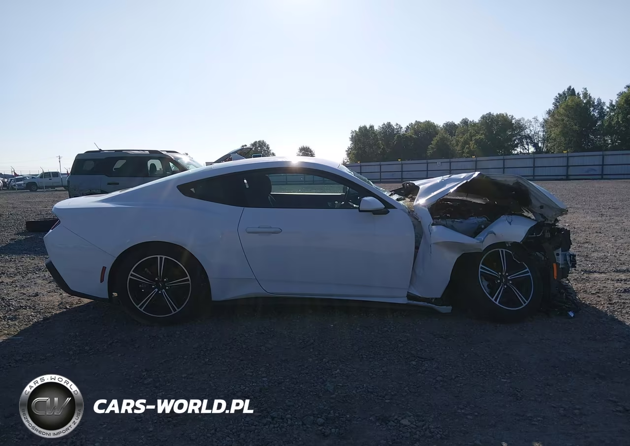 2025 Ford Mustang Ecoboost Fastback VIN:1FA6P8TH7S5118225 - 13