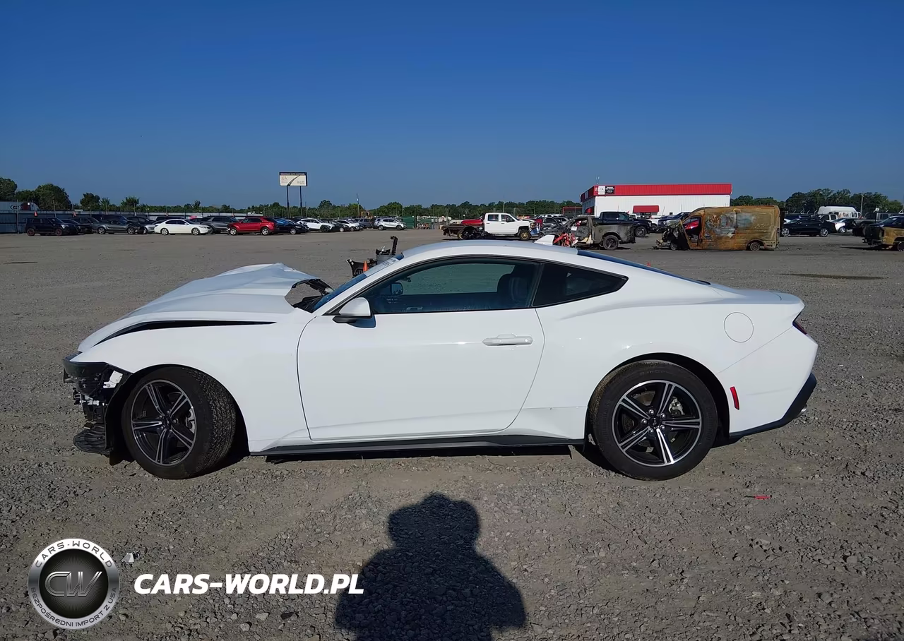 2025 Ford Mustang Ecoboost Fastback VIN:1FA6P8TH7S5118225 - 14