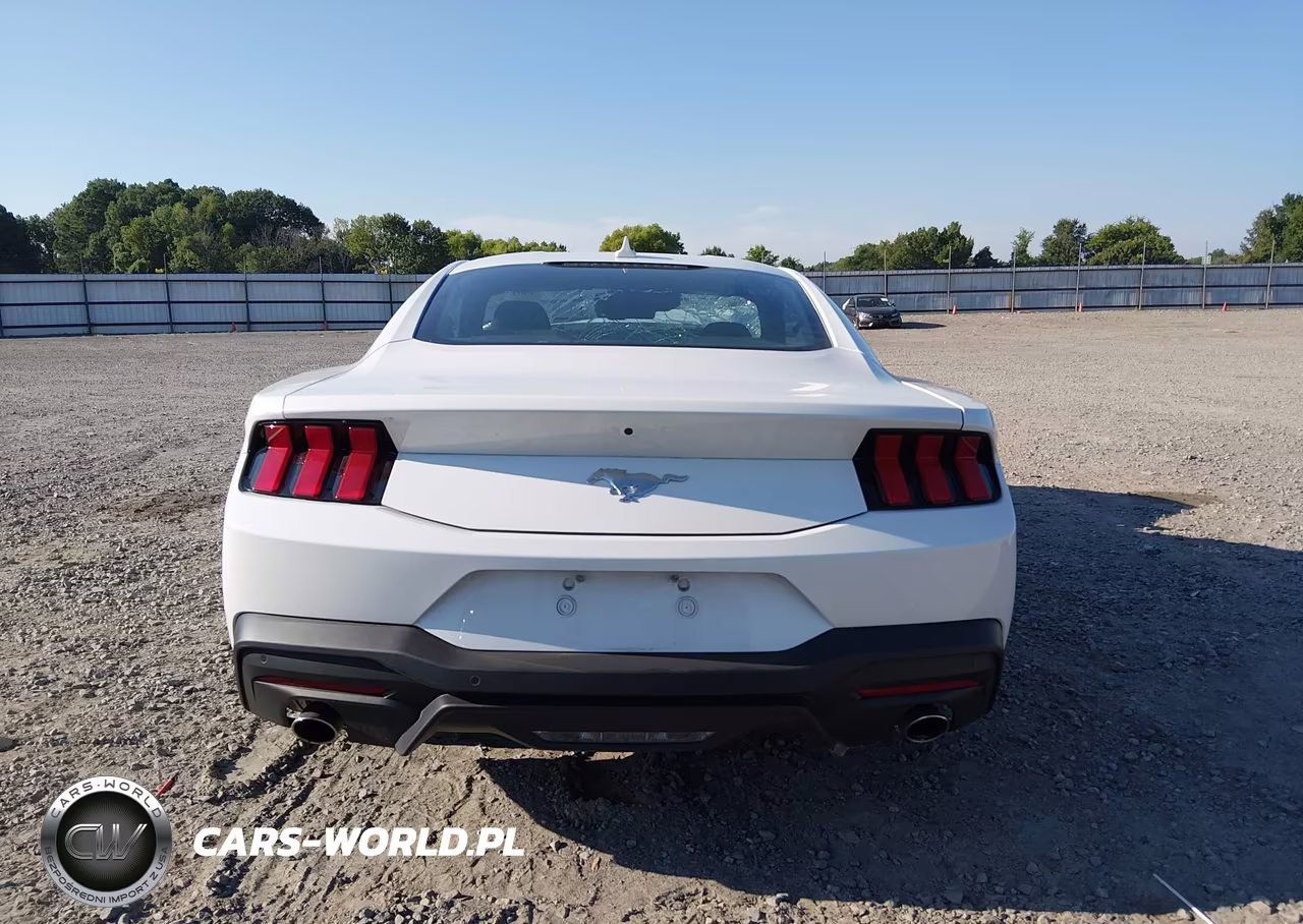 2025 Ford Mustang Ecoboost Fastback VIN:1FA6P8TH7S5118225 - 16