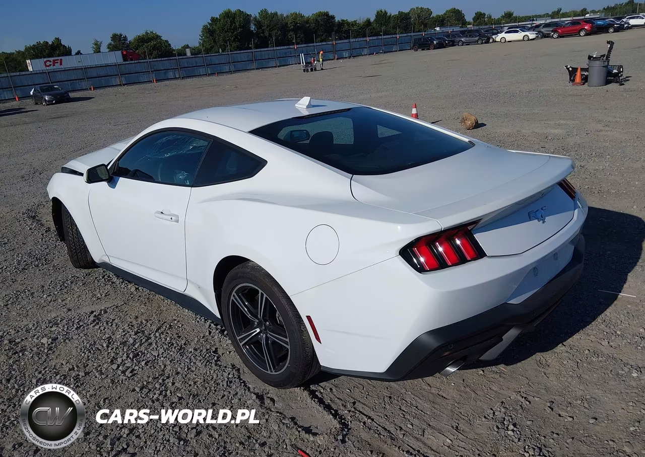 2025 Ford Mustang Ecoboost Fastback VIN:1FA6P8TH7S5118225 - 3