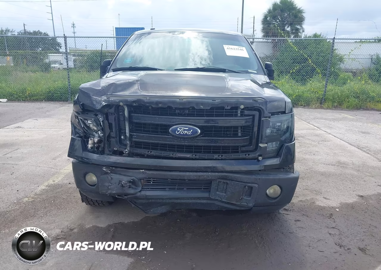 2013 Ford F-150 Fx2 VIN:1FTFW1CT3DFA16877 - 12