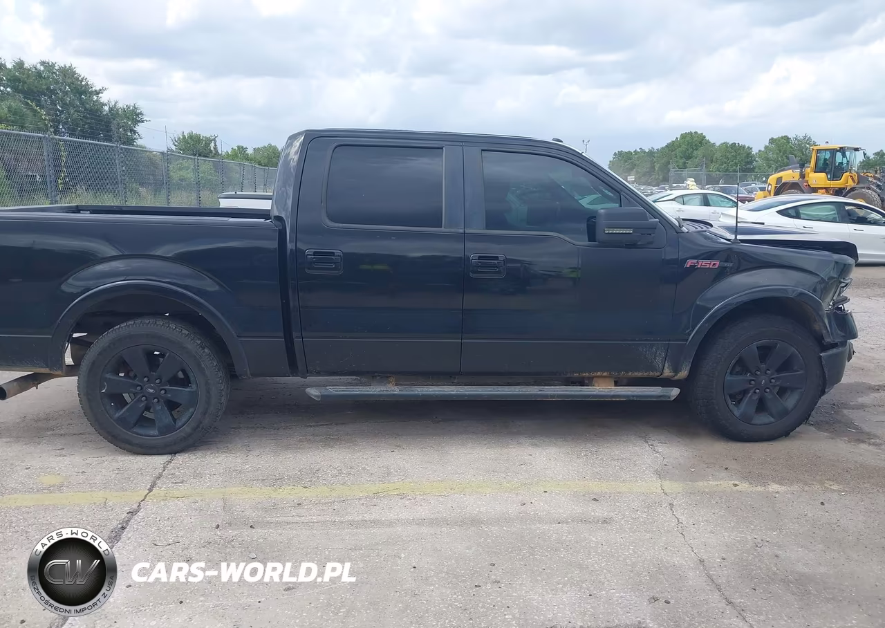 2013 Ford F-150 Fx2 VIN:1FTFW1CT3DFA16877 - 13