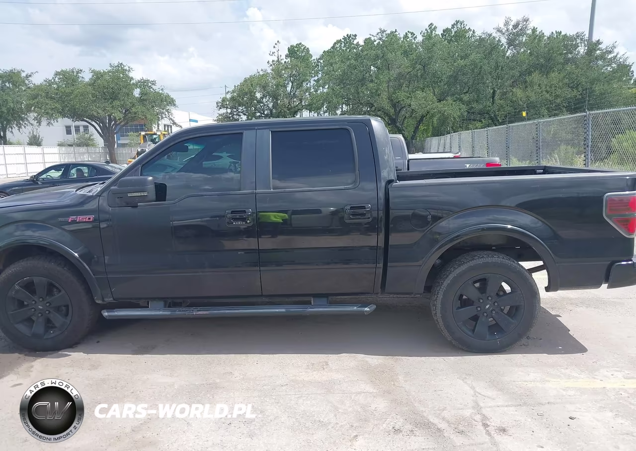 2013 Ford F-150 Fx2 VIN:1FTFW1CT3DFA16877 - 14