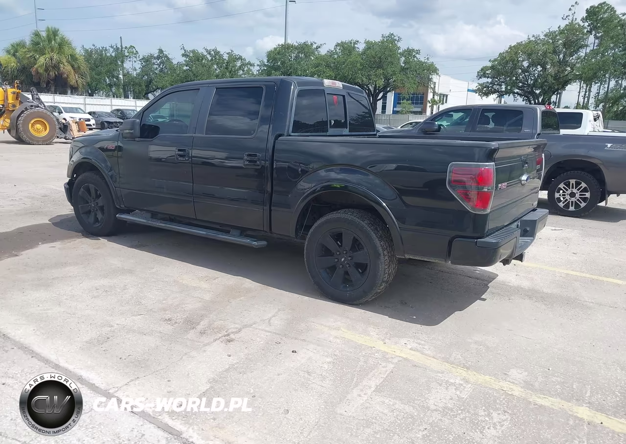 2013 Ford F-150 Fx2 VIN:1FTFW1CT3DFA16877 - 3