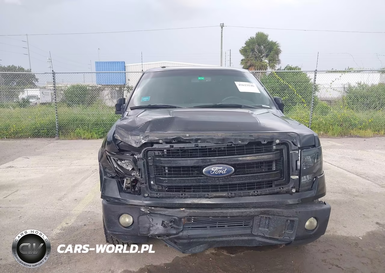 2013 Ford F-150 Fx2 VIN:1FTFW1CT3DFA16877 - 6
