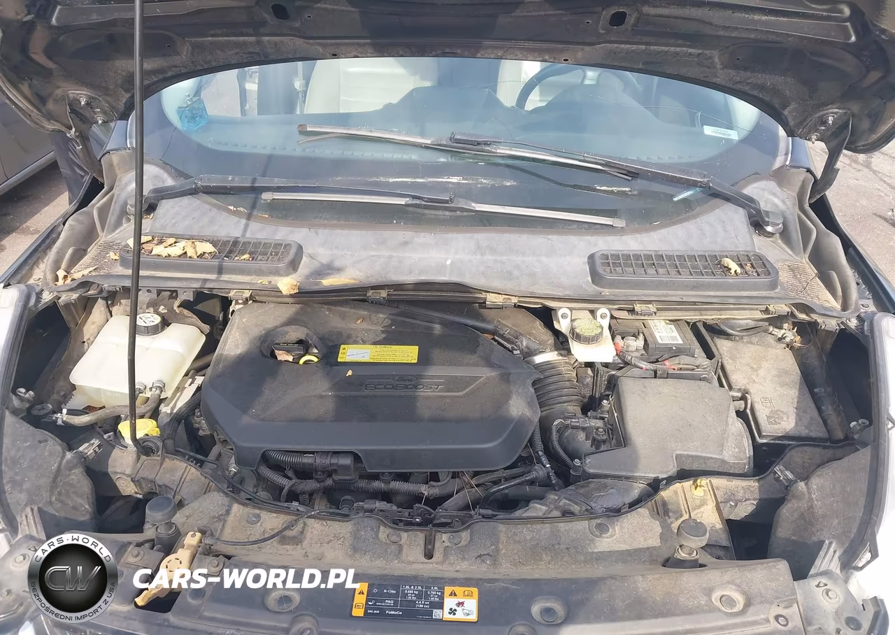 2013 Ford Escape Sel VIN:1FMCU0HX3DUB50911 - 10