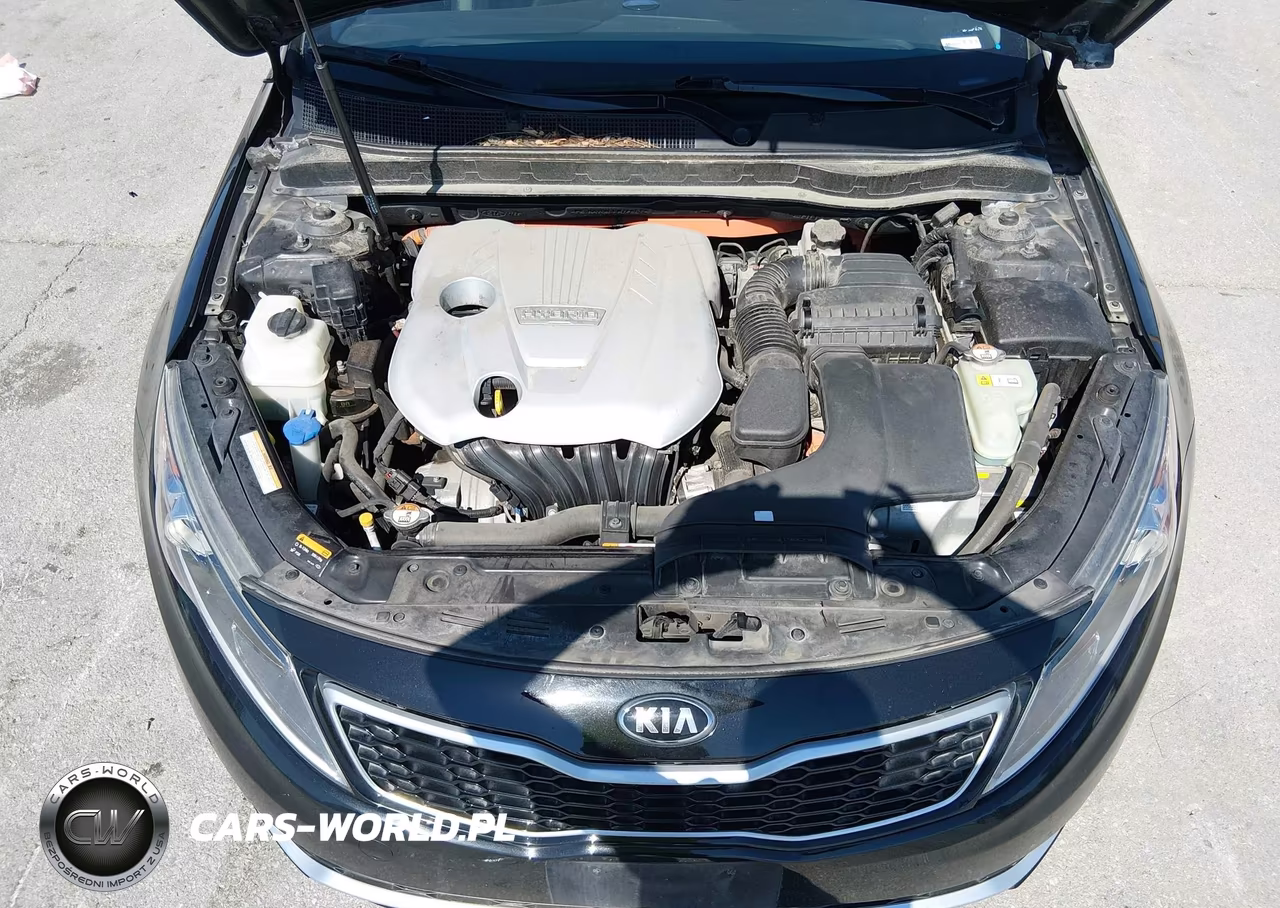 2013 Kia Optima Hybrid Ex VIN:KNAGM4AD2D5058290 - 10