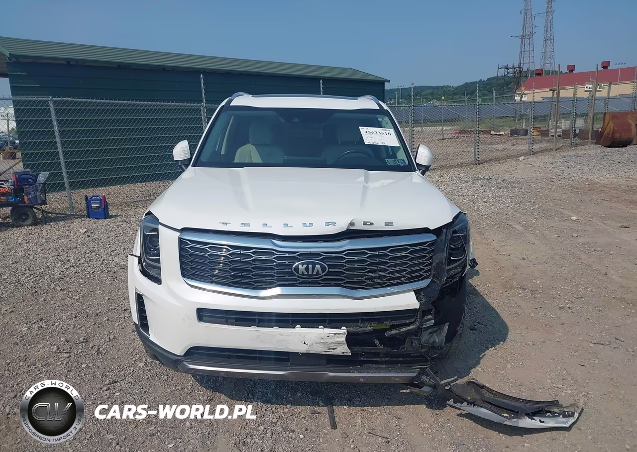 2020 Kia Telluride Ex VIN:5XYP3DHC7LG093013 - 12