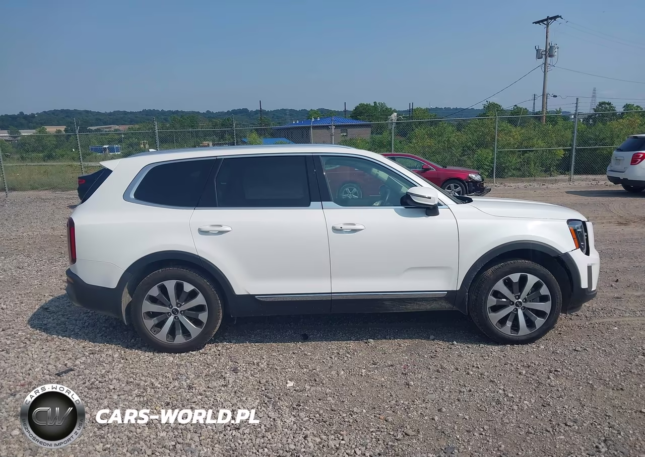 2020 Kia Telluride Ex VIN:5XYP3DHC7LG093013 - 13