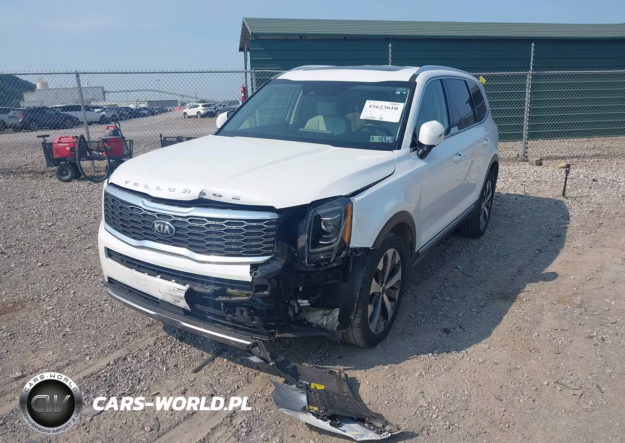 2020 Kia Telluride Ex VIN:5XYP3DHC7LG093013 - 2