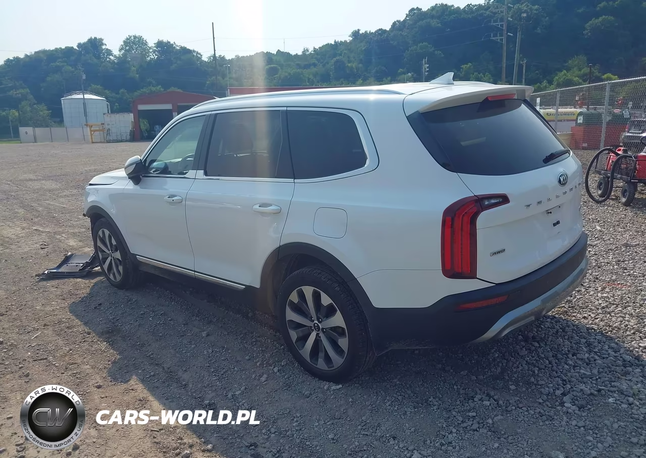 2020 Kia Telluride Ex VIN:5XYP3DHC7LG093013 - 3