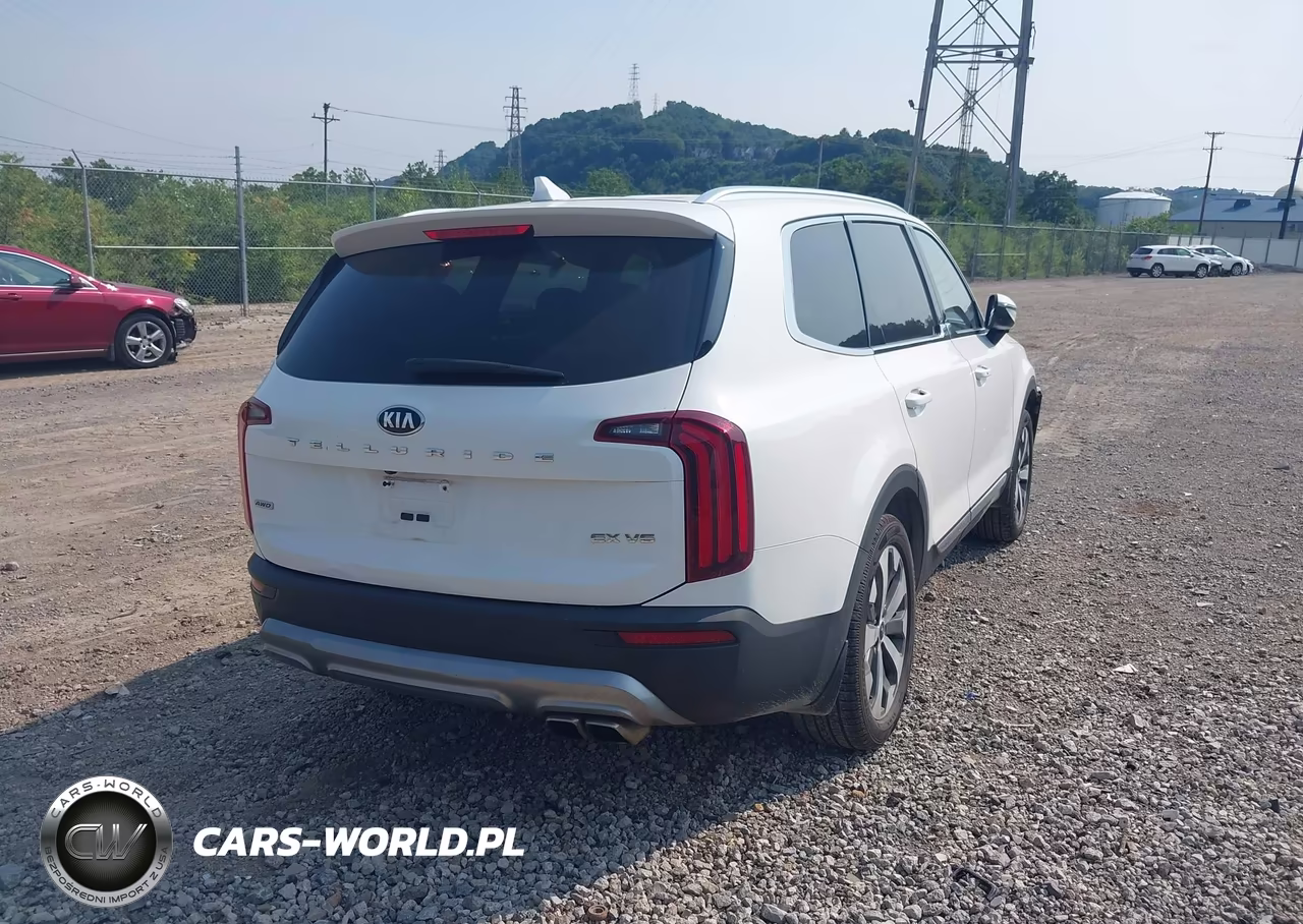 2020 Kia Telluride Ex VIN:5XYP3DHC7LG093013 - 4