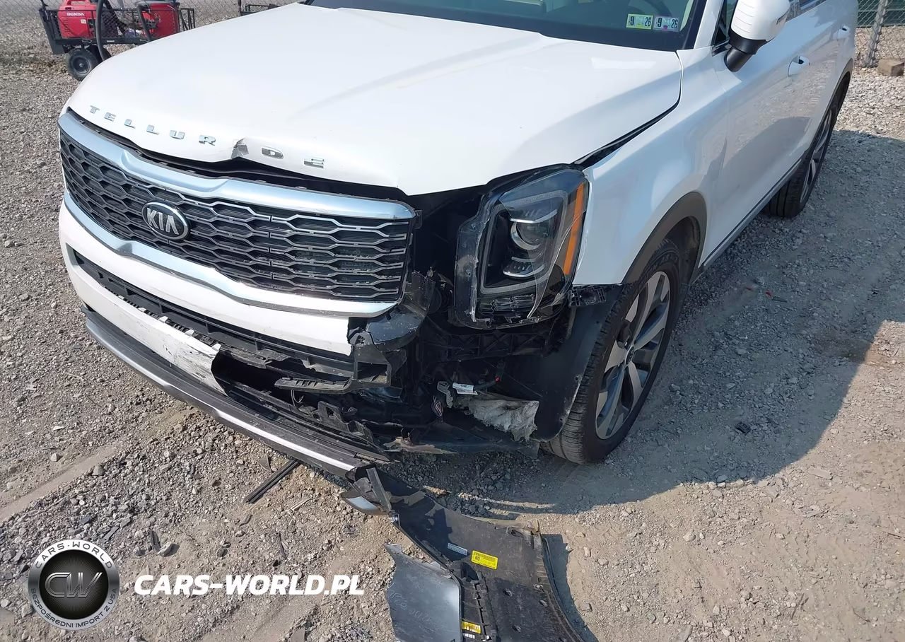 2020 Kia Telluride Ex VIN:5XYP3DHC7LG093013 - 6