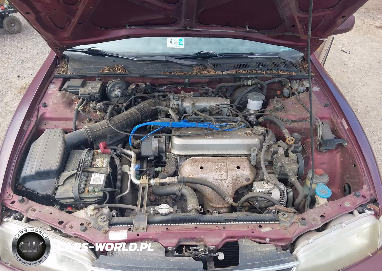 1996 Honda Accord Lx VIN:1HGCD7239TA026646 - 10