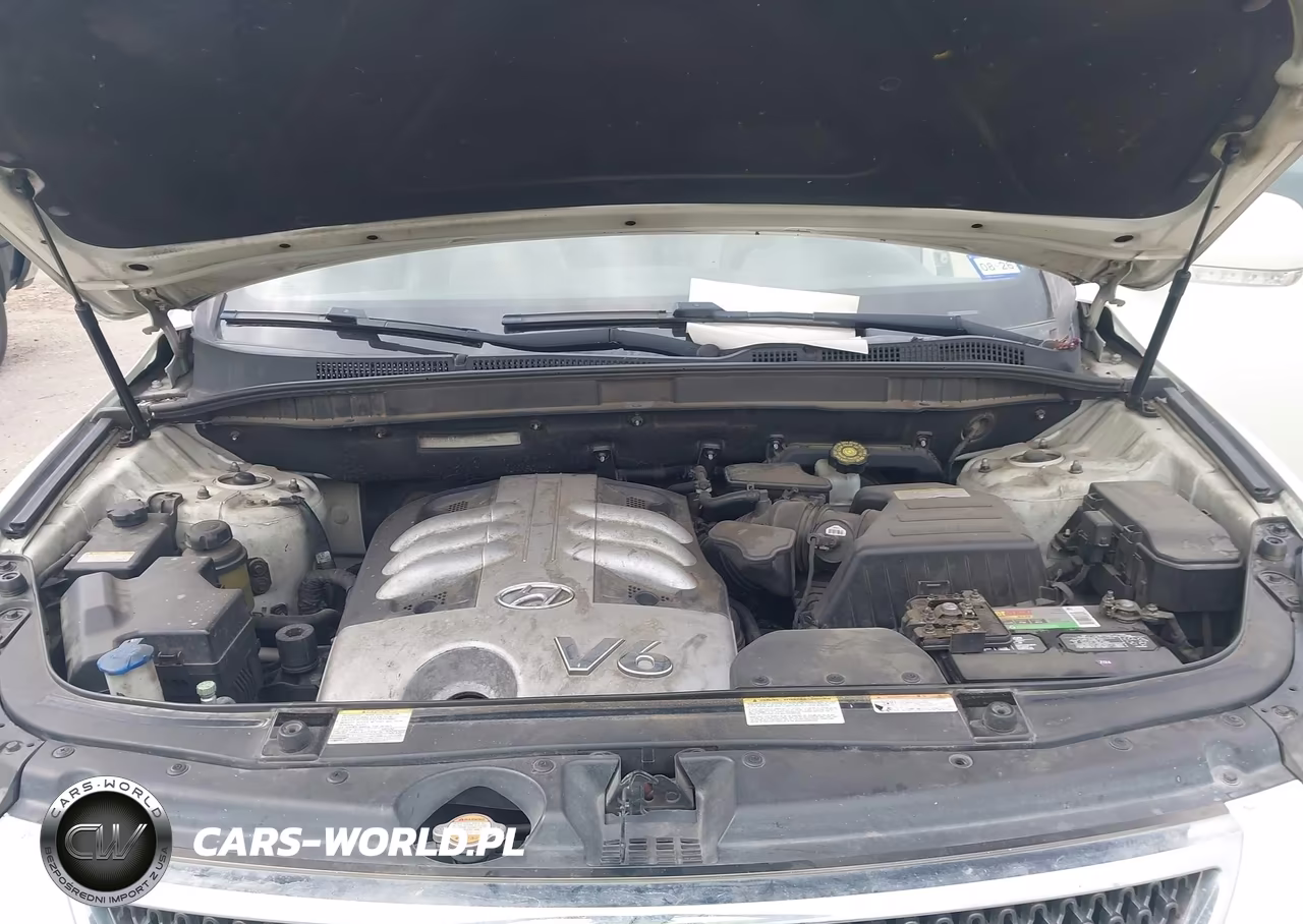 2007 Hyundai Veracruz Gls-Limited-Se VIN:KM8NU13C97U023734 - 10