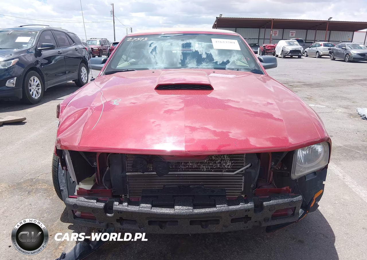2008 Ford Mustang Gt Deluxe-Gt Premium VIN:1ZVHT85H585200052 - 12