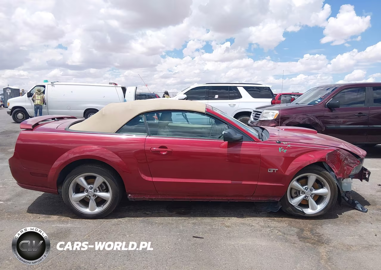 2008 Ford Mustang Gt Deluxe-Gt Premium VIN:1ZVHT85H585200052 - 13