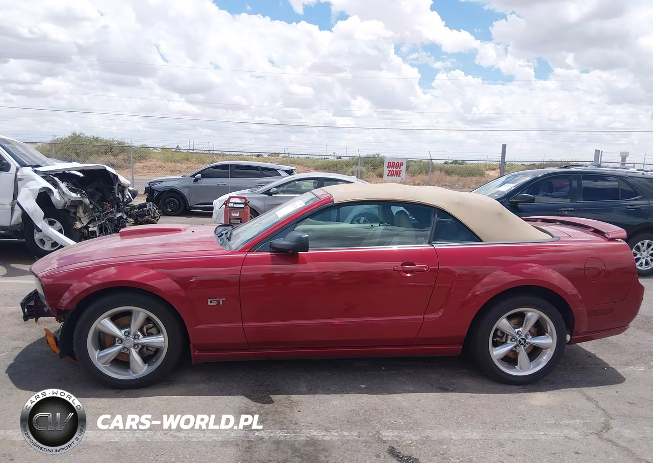 2008 Ford Mustang Gt Deluxe-Gt Premium VIN:1ZVHT85H585200052 - 14