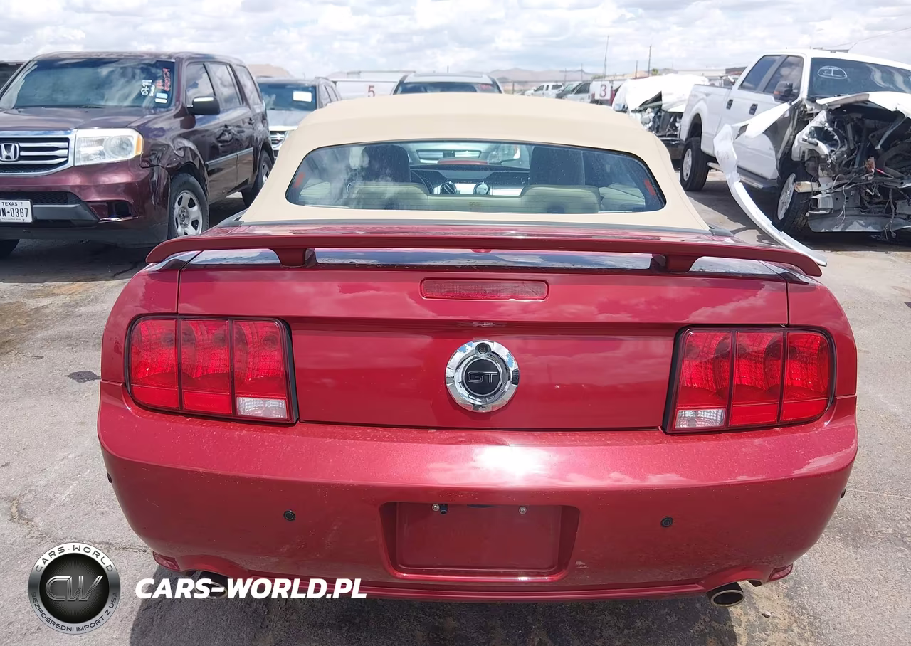 2008 Ford Mustang Gt Deluxe-Gt Premium VIN:1ZVHT85H585200052 - 16