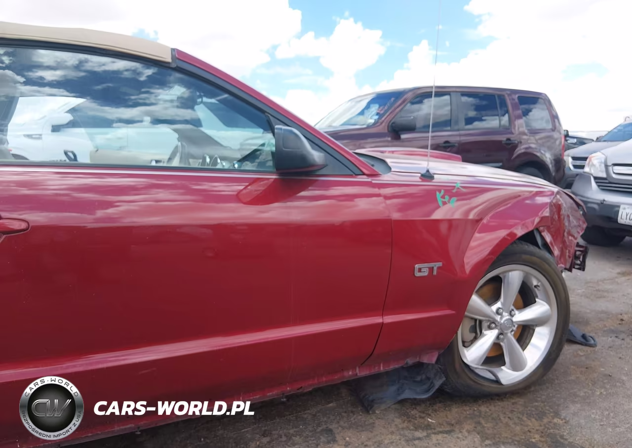 2008 Ford Mustang Gt Deluxe-Gt Premium VIN:1ZVHT85H585200052 - 17