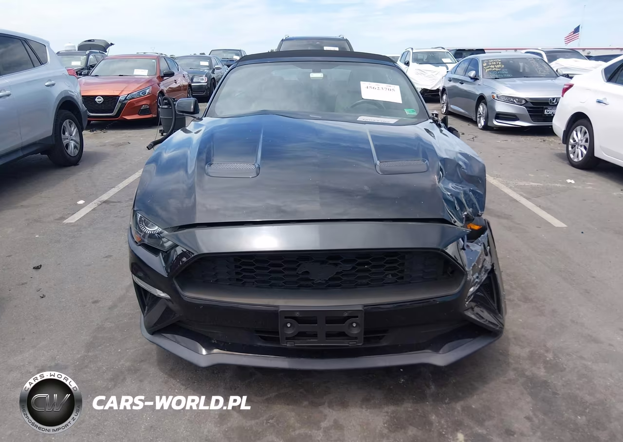 2018 Ford Mustang Ecoboost Premium VIN:1FATP8UH6J5133220 - 12