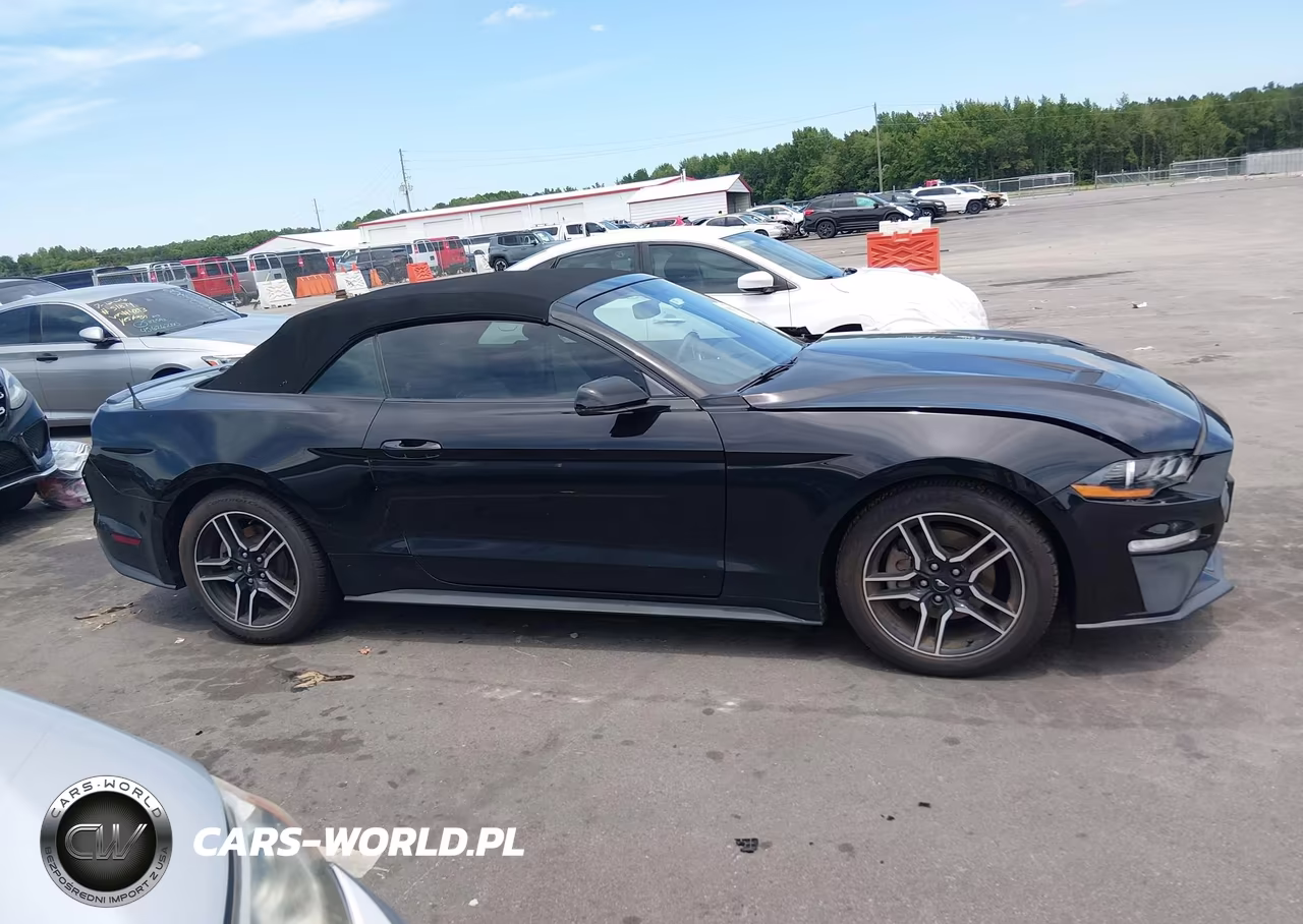 2018 Ford Mustang Ecoboost Premium VIN:1FATP8UH6J5133220 - 13