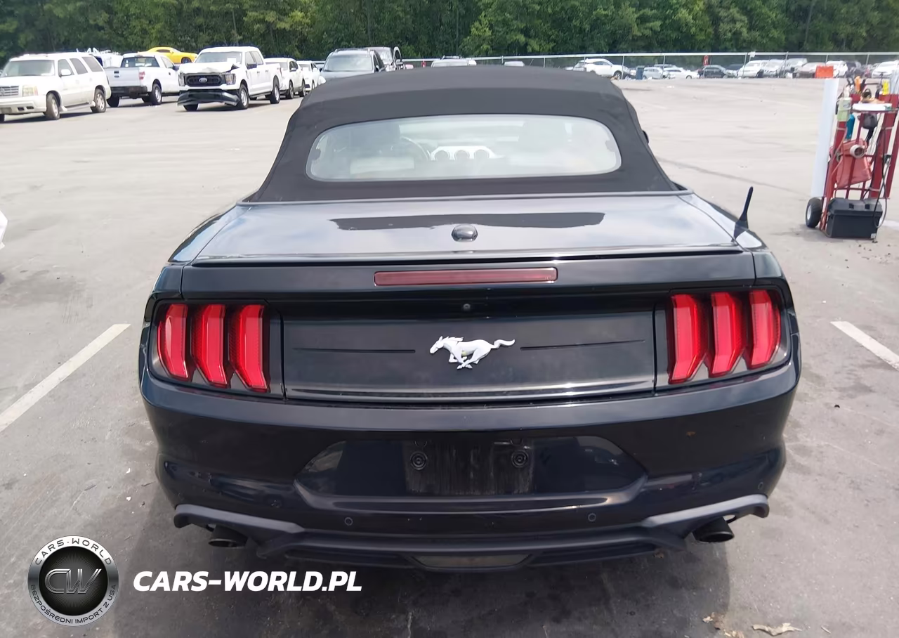 2018 Ford Mustang Ecoboost Premium VIN:1FATP8UH6J5133220 - 16