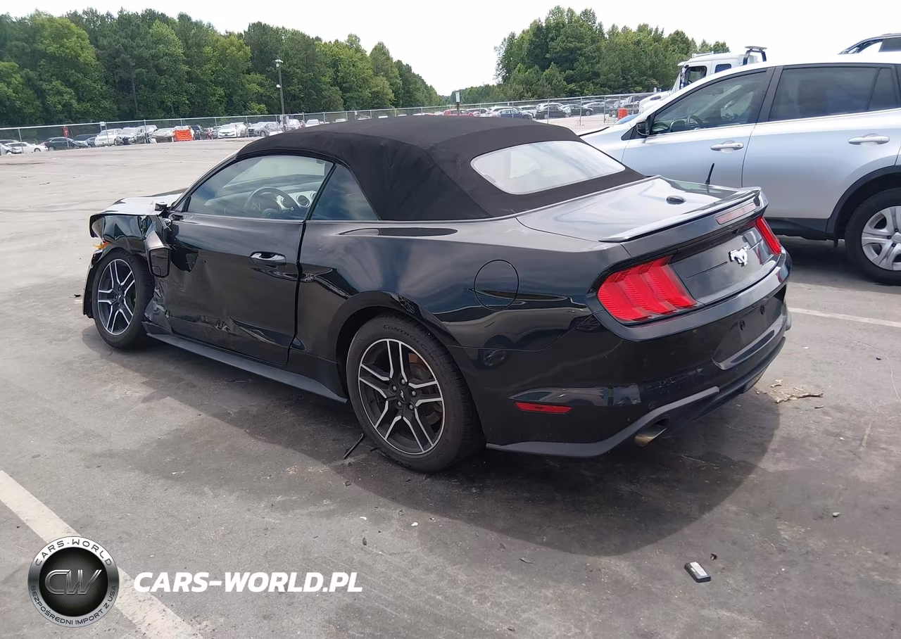 2018 Ford Mustang Ecoboost Premium VIN:1FATP8UH6J5133220 - 3
