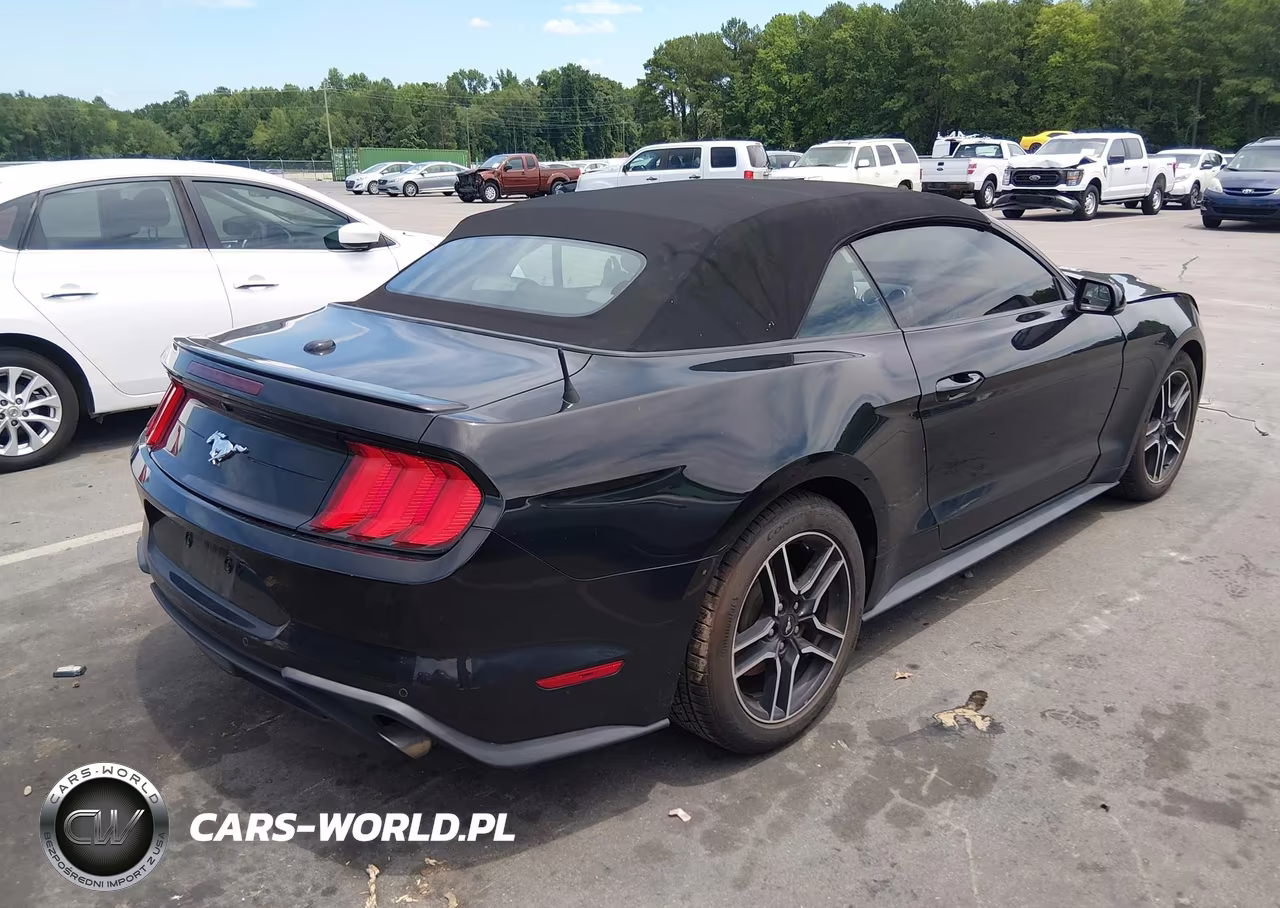2018 Ford Mustang Ecoboost Premium VIN:1FATP8UH6J5133220 - 4