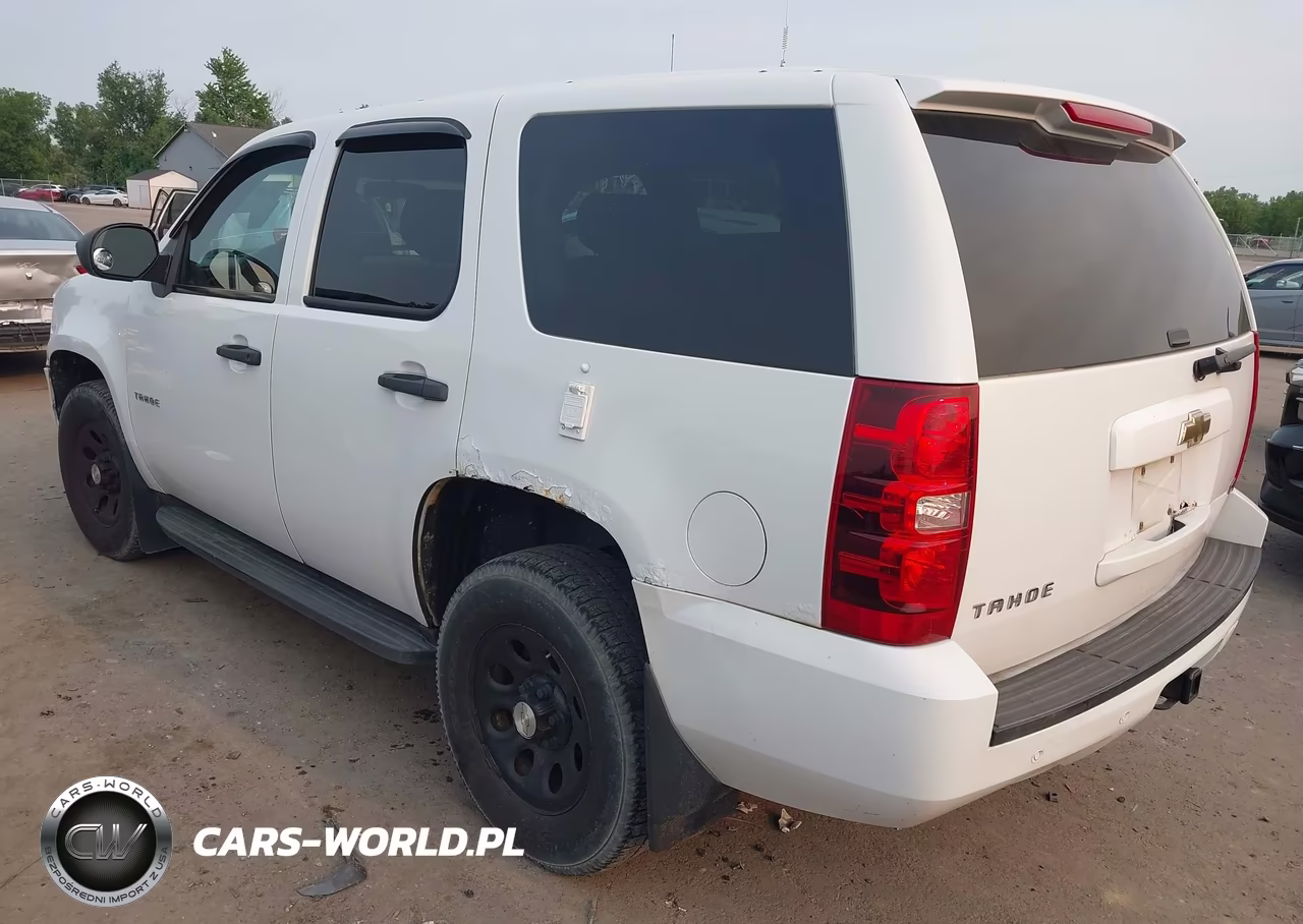 2010 Chevrolet Tahoe Commercial Fleet VIN:1GNUKAE03AR218528 - 3