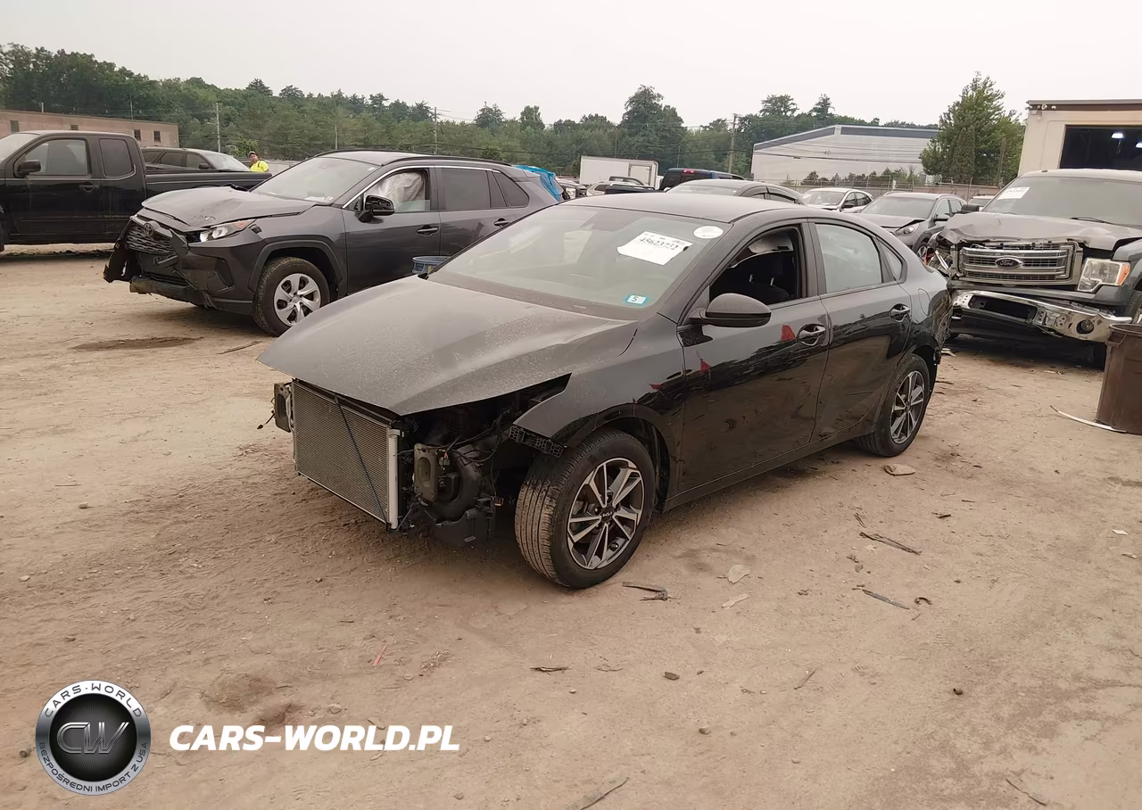 2022 Kia Forte Lxs VIN:3KPF24AD1NE439106 - 2