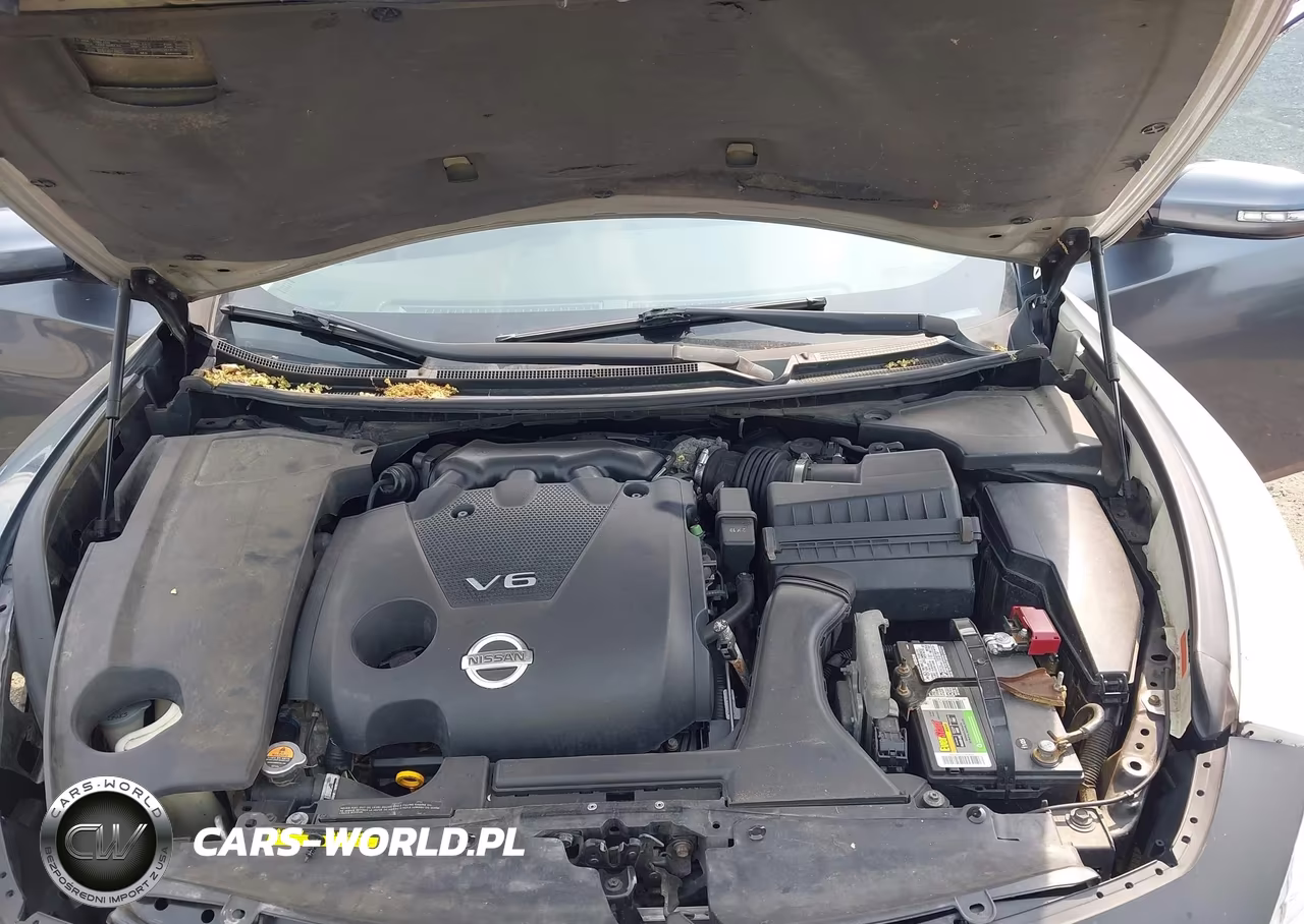 2013 Nissan Maxima 3.5 Sv VIN:1N4AA5AP2DC837918 - 10