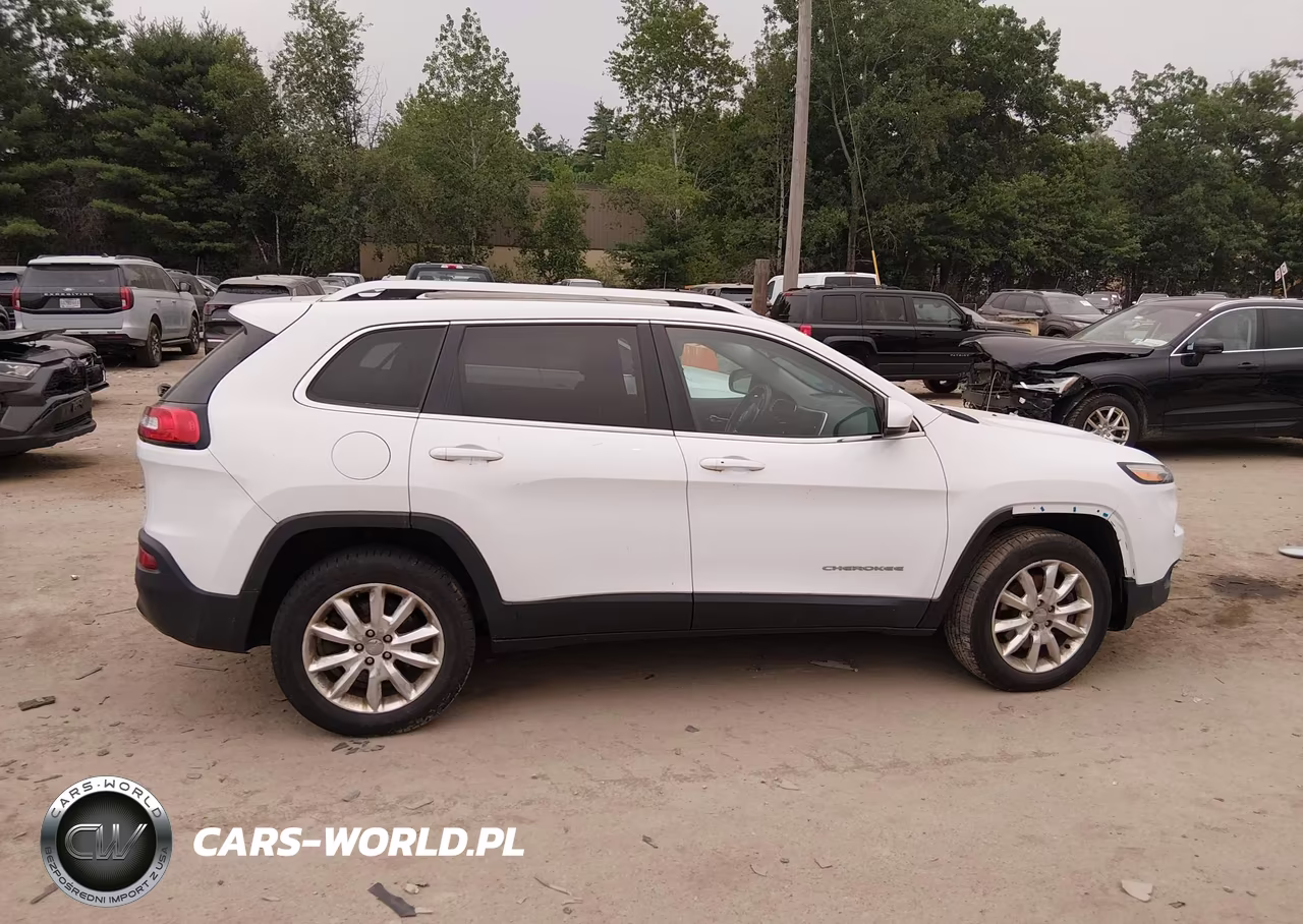 2014 Jeep Cherokee Limited VIN:1C4PJMDSXEW236495 - 13