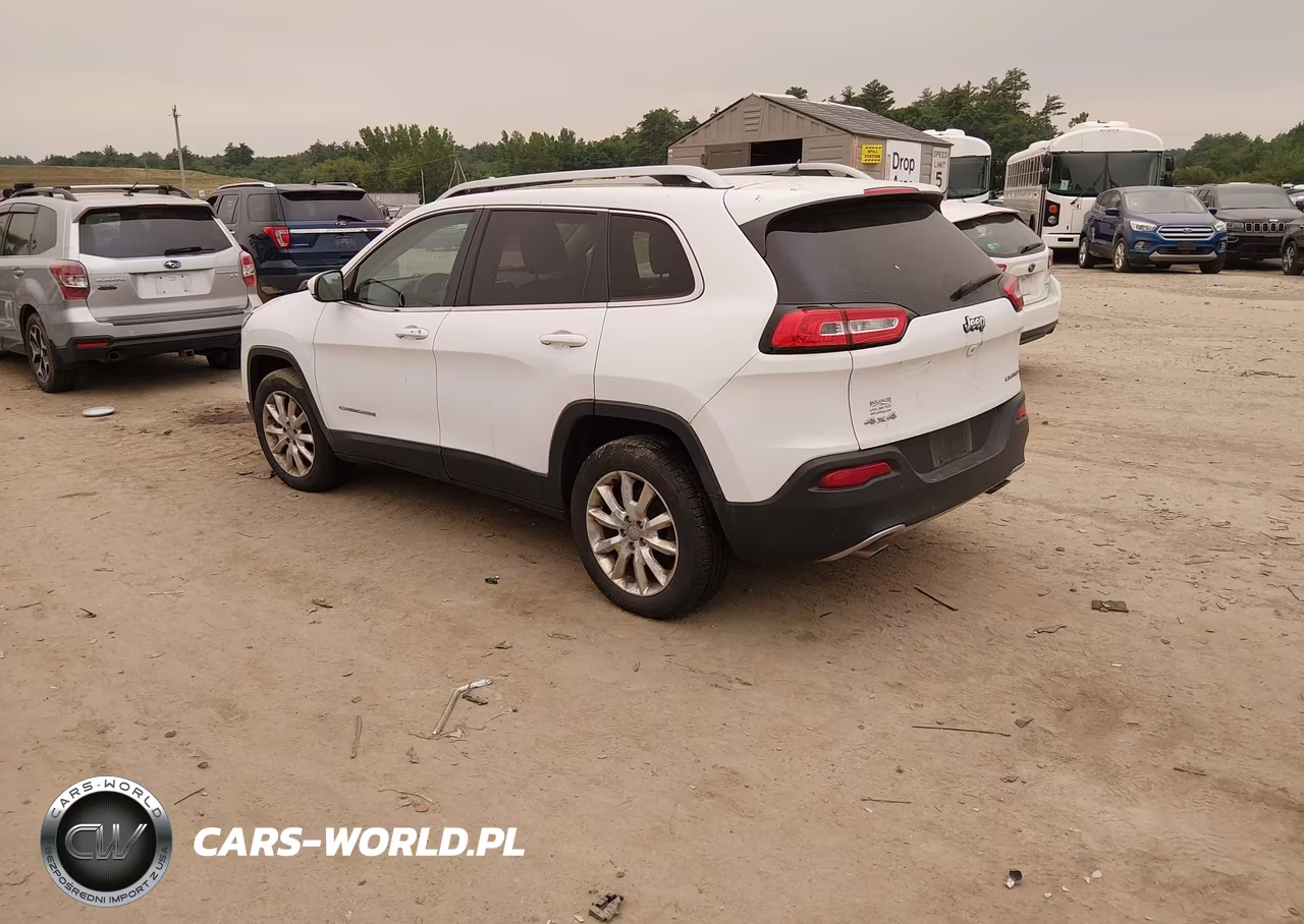 2014 Jeep Cherokee Limited VIN:1C4PJMDSXEW236495 - 3