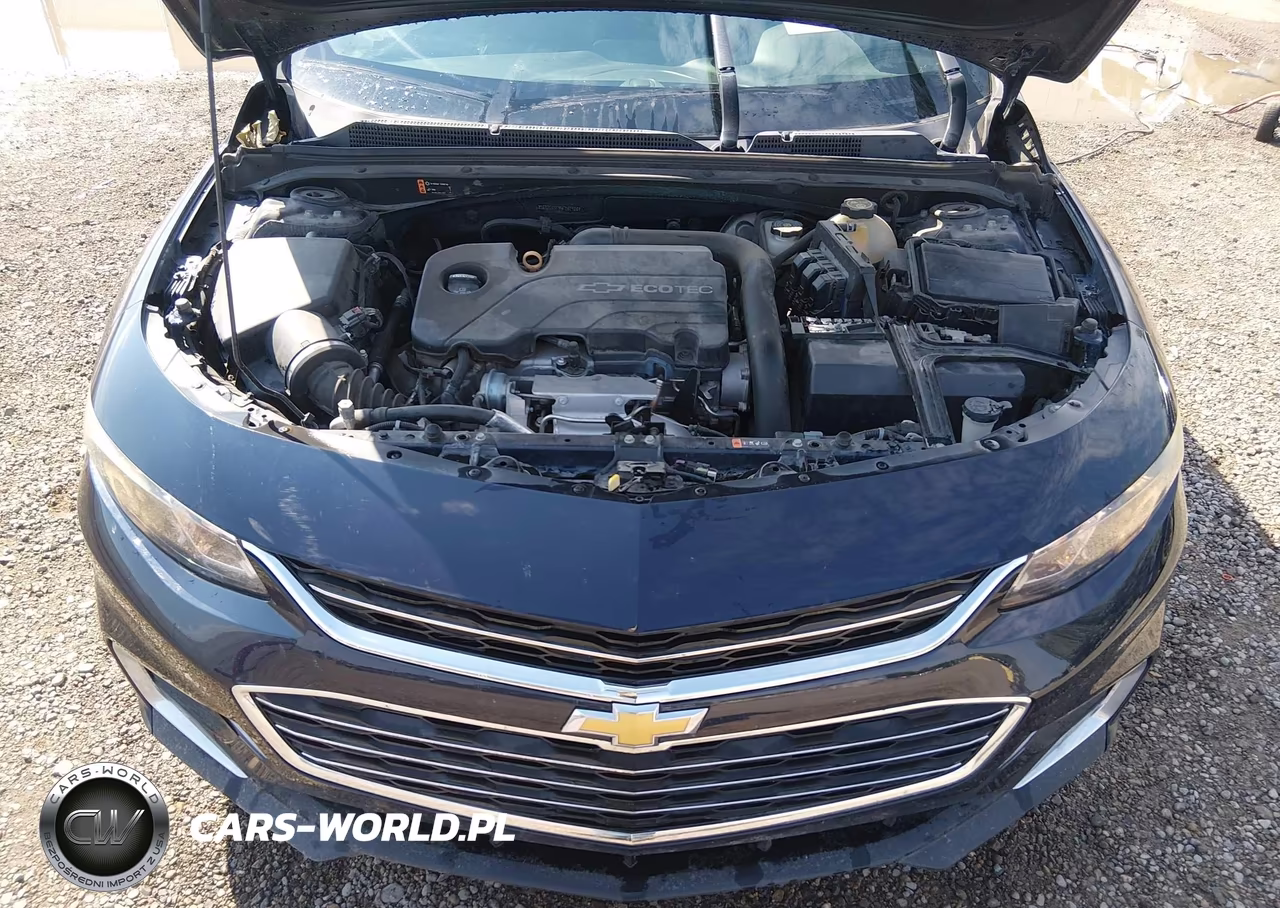 2017 Chevrolet Malibu 1Fl VIN:1G1ZC5ST9HF261986 - 10