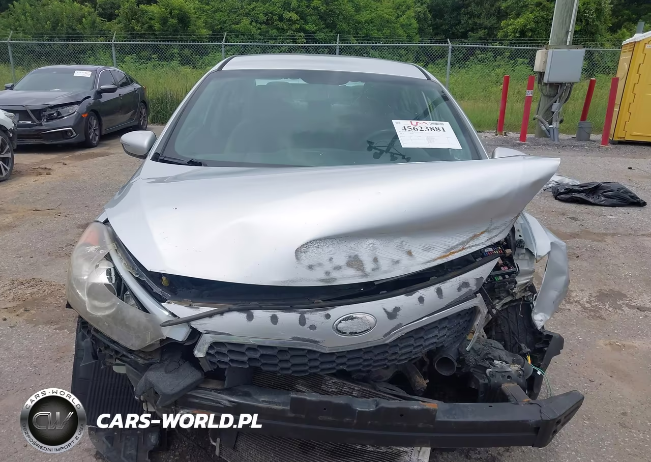 2014 Kia Forte Lx VIN:KNAFX4A67E5125990 - 12