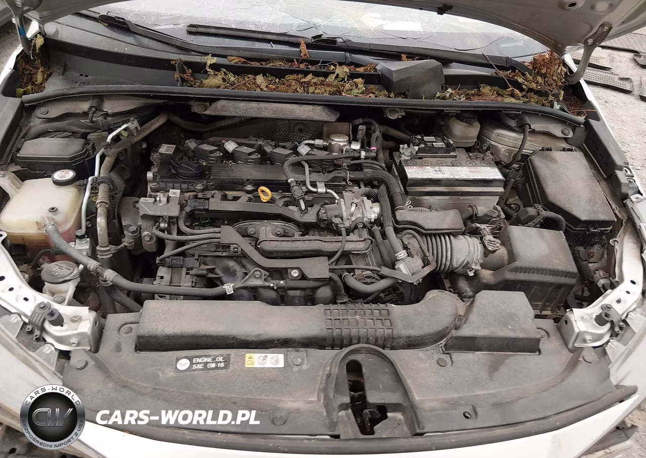 2019 Toyota Corolla Se VIN:JTNK4RBE3K3011713 - 10