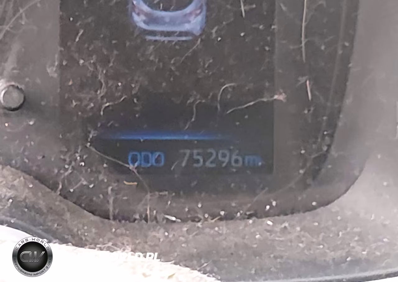 2019 Toyota Corolla Se VIN:JTNK4RBE3K3011713 - 16
