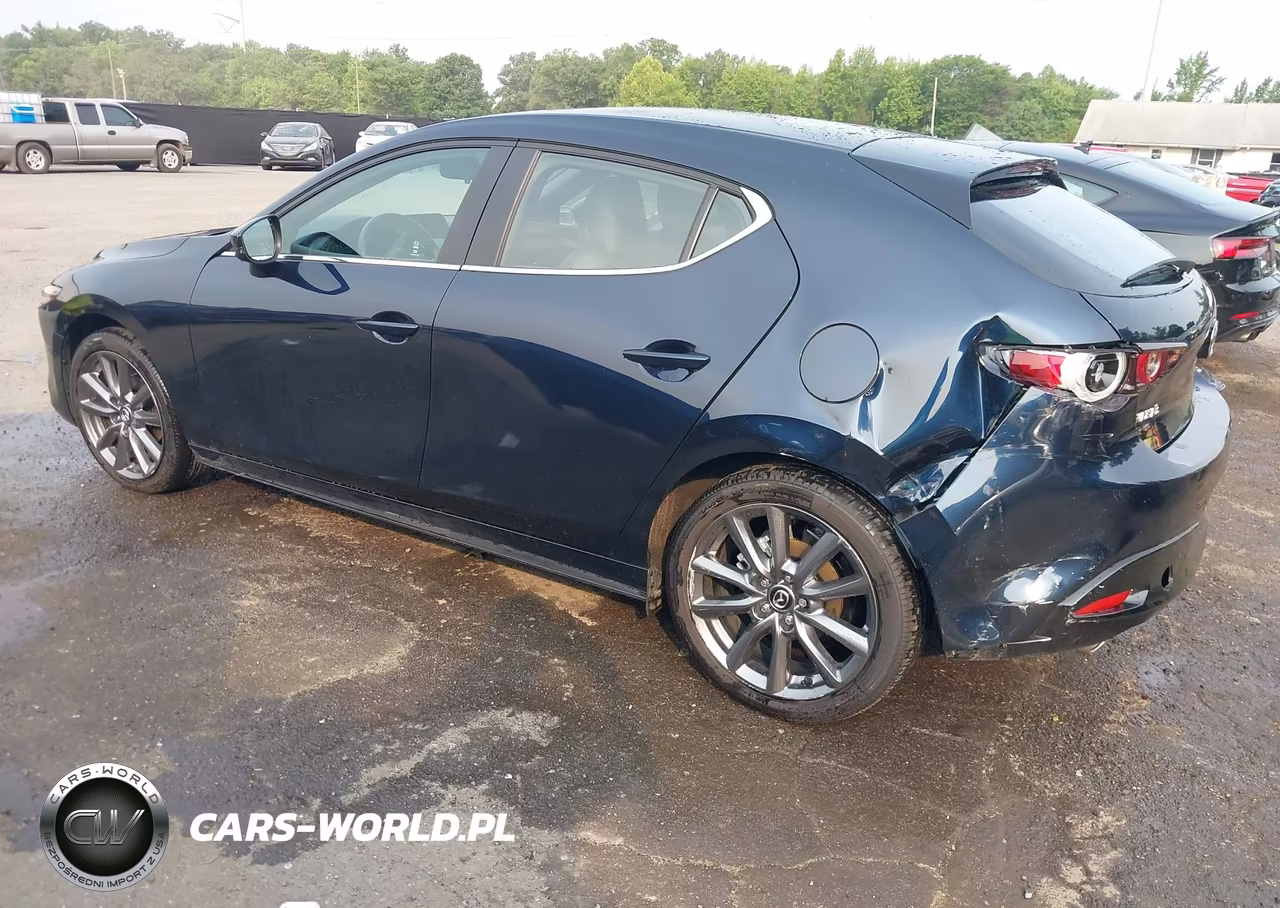 2025 Mazda Mazda3 2.5 S Preferred VIN:JM1BPALM5S1789784 - 3