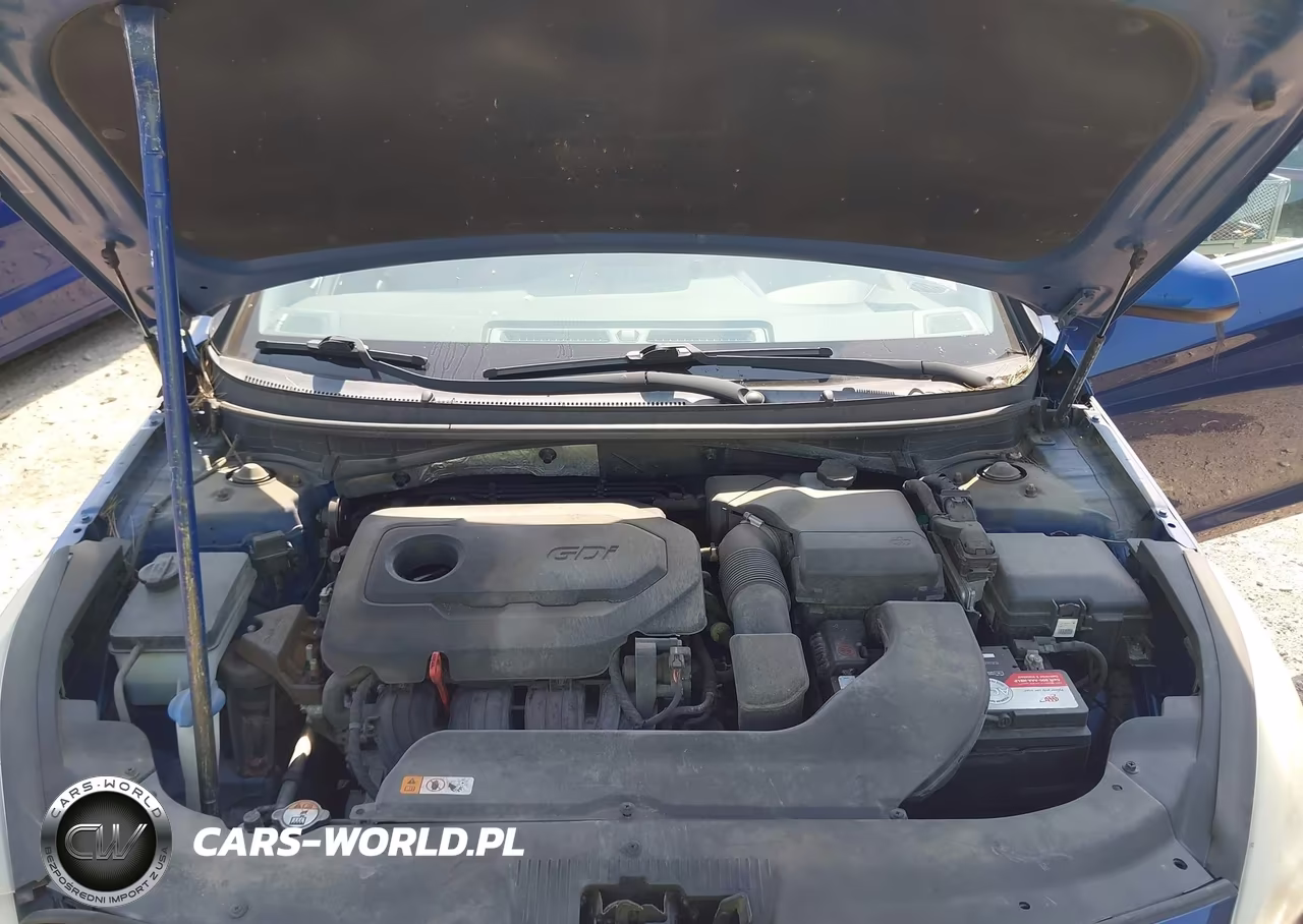 2015 Hyundai Sonata Se VIN:5NPE24AF1FH209463 - 10