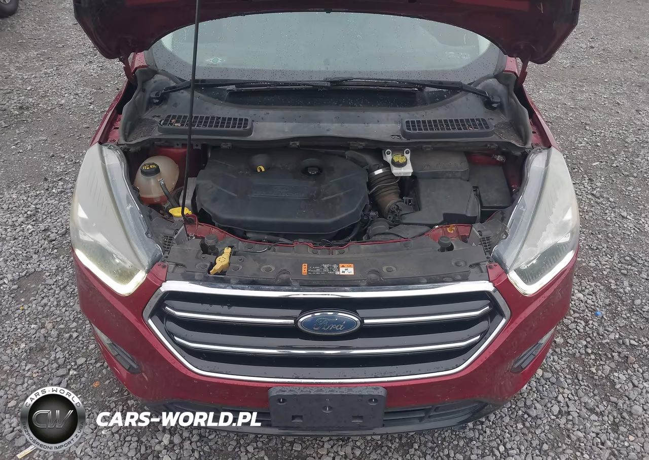 2017 Ford Escape Se VIN:1FMCU0G91HUC07065 - 10