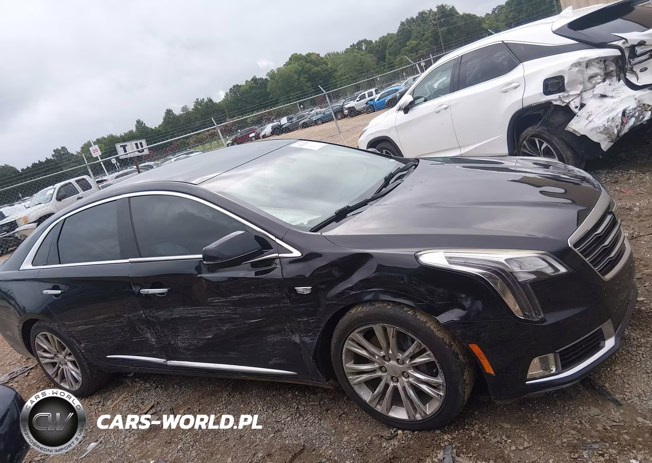 2019 Cadillac Xts Luxury VIN:2G61M5S39K9139360 - 13