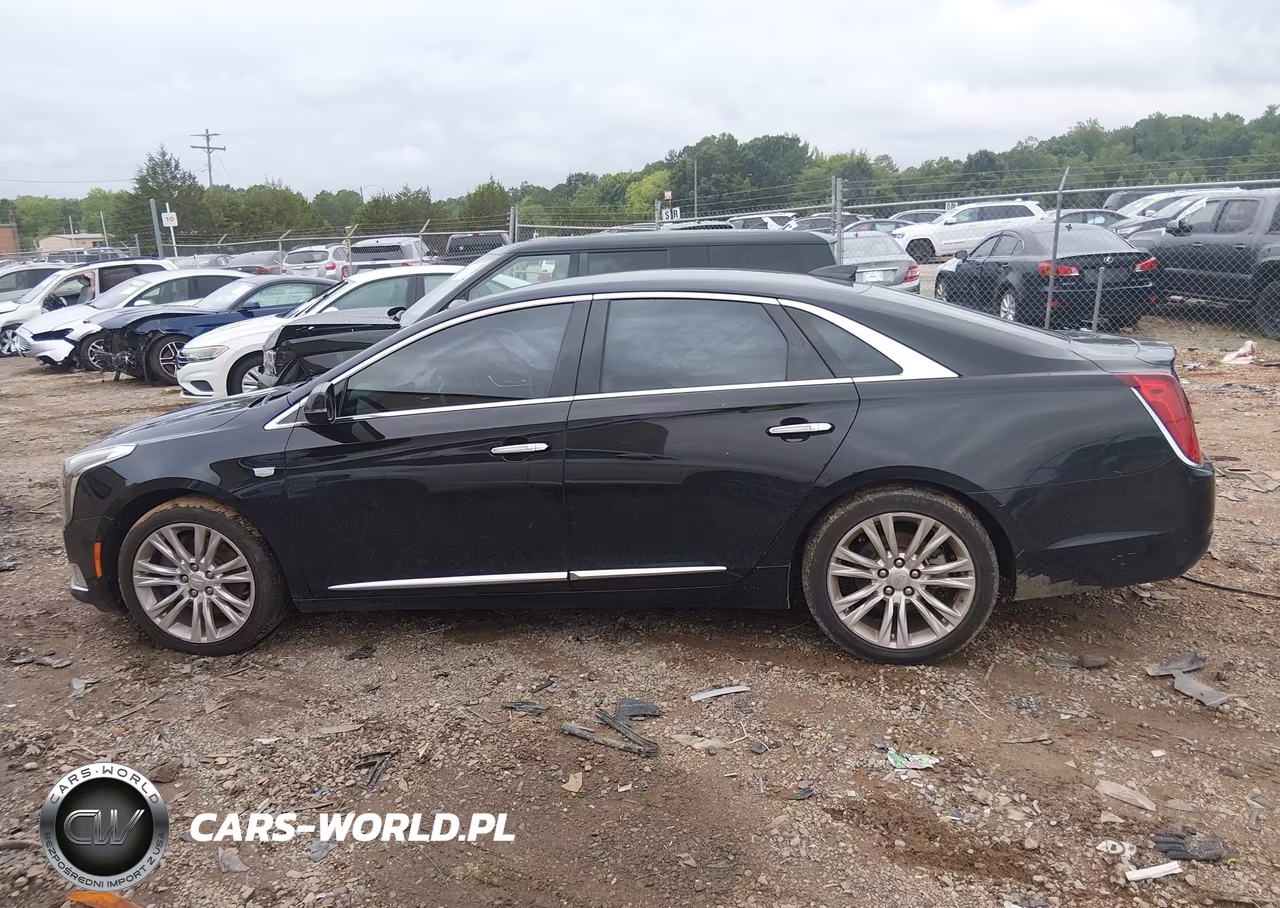2019 Cadillac Xts Luxury VIN:2G61M5S39K9139360 - 14
